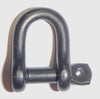 Wichard 13/32" Diameter D Shackle w/ Captive Pin - Black